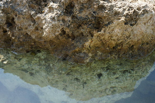 A crab sits on a stone by the water of the Mediterranean Sea on Rhodes Island. Crabs are decapod crustaceans of the infraorder Brachyura, which typically have a very short projecting "tail", usually hidden entirely under the thorax. Rhodes, Greece