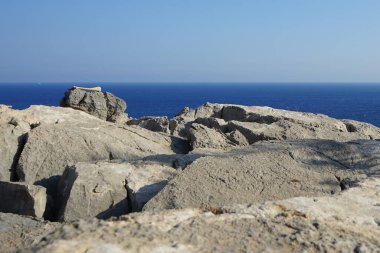 Ağustos ayında Yunanistan 'ın Rodos Adası' ndaki Lardos Tepesi 'nin tepesinde bulunan bir hayvan uzvunun boru kemiği