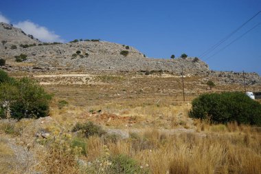 Ağustos ayında vahşi keçiler Lardos tepesi yakınlarında otlar. Vahşi keçi ya da dağ keçisi, Capra aegagrus, vahşi bir keçi türüdür. Lardos, Rodos Adası, Yunanistan