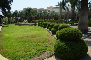 Çeşme, Ağustos ayında bir turist dinlenme alanında güzel bir yaz bitkisiyle çevrilidir. Lardos, Rodos Adası, Yunanistan 