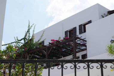 Bougainvillea çalısı ağustosta pembe-mor çiçeklerle açar. Bougainvillea, Nyctaginaceae familyasına ait dikenli asmalar, çalılar ve ağaçların oluşturduğu bir cinstir. Rodos Adası, Yunanistan 