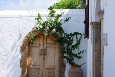 Bougainvillea çalısı ağustosta pembe-mor çiçeklerle açar. Bougainvillea, Nyctaginaceae familyasına ait dikenli asmalar, çalılar ve ağaçların oluşturduğu bir cinstir. Rodos Adası, Yunanistan 