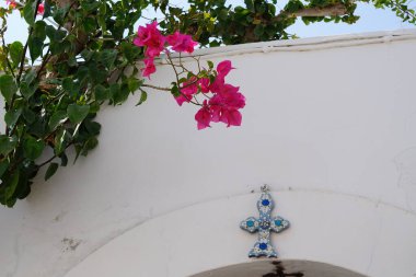 Bougainvillea çalısı ağustosta pembe-mor çiçeklerle açar. Bougainvillea, Nyctaginaceae familyasına ait dikenli asmalar, çalılar ve ağaçların oluşturduğu bir cinstir. Rodos Adası, Yunanistan 