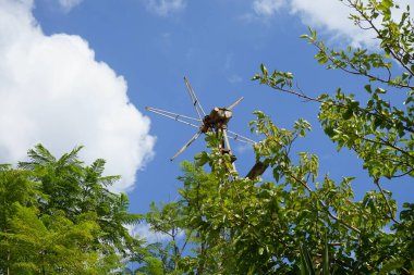 Paslı rüzgar türbini Rhodes Adası 'nda. Rüzgar türbini rüzgarın kinetik enerjisini elektrik enerjisine dönüştüren bir cihazdır. Yunanistan