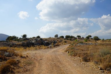 Güneşli bir günde Rodos adasının Akdeniz bitkileriyle kayalık tepelerin güzel manzarası. Rodos Adası, Yunanistan