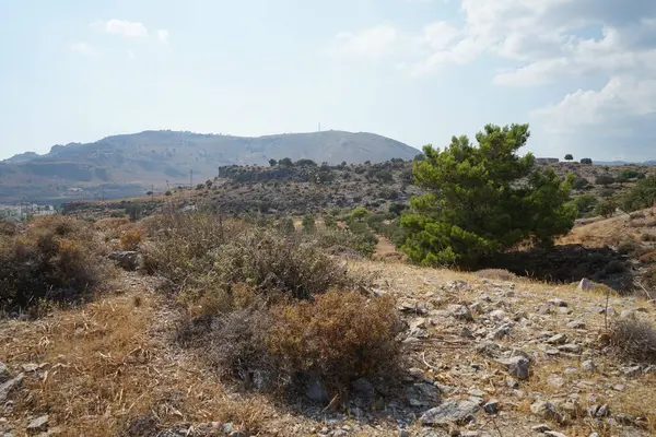 Schöne Berglandschaft Mit Blick Auf Eine Plantage Mit Olivenbäumen August — Stockfoto