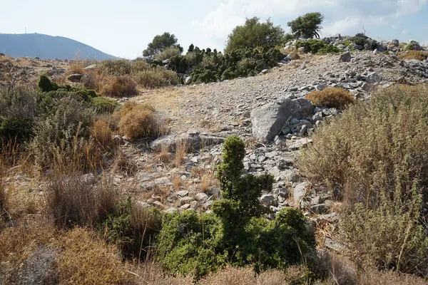 Schöne Landschaft Aus Felsigen Hügeln Mit Mediterraner Vegetation Der Insel — Stockfoto