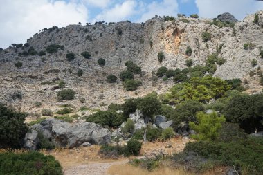 Güneşli bir günde Rodos adasının Akdeniz bitkileriyle kayalık tepelerin güzel manzarası. Rodos Adası, Yunanistan