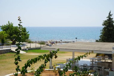Bougainvillea çalısı ağustosta pembe-mor çiçeklerle açar. Bougainvillea, Nyctaginaceae familyasına ait dikenli asmalar, çalılar ve ağaçların oluşturduğu bir cinstir. Rodos Adası, Yunanistan  