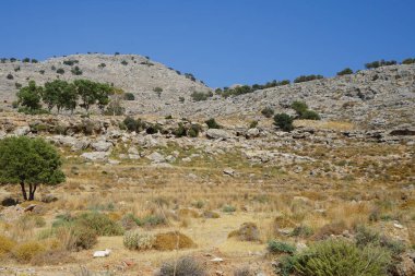 Güneşli bir günde Rodos adasının Akdeniz bitkileriyle kayalık tepelerin güzel manzarası. Rodos Adası, Yunanistan