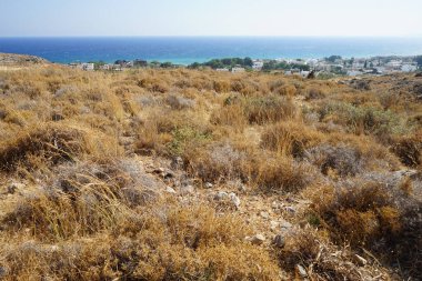 Güneşli bir günde Akdeniz bitki örtüsüyle Rhodes Adası 'nın güzel manzarası. Rodos Adası, Yunanistan 