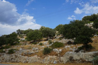 Güneşli bir günde Rodos adasının Akdeniz bitkileriyle kayalık tepelerin güzel manzarası. Rodos Adası, Yunanistan