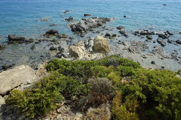 Güneşli Bir Günde Akdeniz Bitki Örtüsüyle Rhodes Adası Nın Güzel — Stok fotoğraf