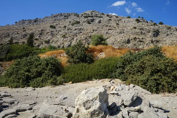 Krásná Krajina Skalnatých Kopců Středomořskou Vegetací Ostrova Rhodos Slunečného Dne — Stock fotografie