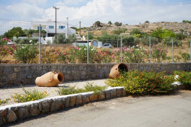 Lantana camara ve Nerium zakkum ağustosta çiçek açar. Neryum zakkum ya da zakkum, dünya çapında ılıman ve subtropikal bölgelerde bir süs ve peyzaj bitkisi olarak yetiştirilmiş bir çalılıktır. Rodos Adası, Yunanistan 