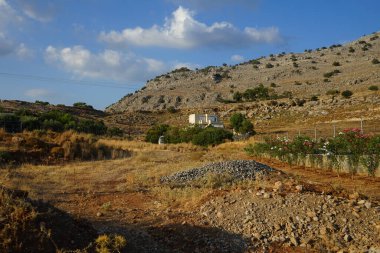 Neryum zakkum ağustosta çiçek açar. Neryum zakkum ya da zakkum, dünya çapında ılıman ve subtropikal bölgelerde bir süs ve peyzaj bitkisi olarak yetiştirilmiş bir çalılıktır. Rodos Adası, Yunanistan 