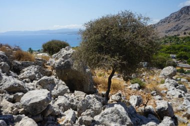 Lardos 'taki Rodos adasının Akdeniz kıyılarının güzel manzarası. Rodos, Yunanistan 'ın Dodecanese adalarının en büyüğüdür. Lardos, Rodos Adası, Yunanistan                    