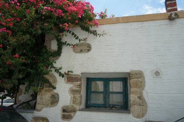 Ağustos ayında Lardos 'ta Bougainvillea çalıları pembe-mor çiçeklerle çiçek açar. Bougainvillea, Nyctaginaceae familyasına ait dikenli asmalar, çalılar ve ağaçların oluşturduğu bir cinstir. Lardos, Rhodes Adası, Güney Ege bölgesi, Yunanistan 