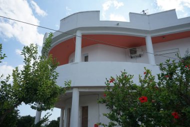 Hibiscus rosa-sinensis ağustosta kırmızı çiçeklerle çiçek açar. Hibiscus rosa-sinensis, Çin-Hawaii amfibisi, Çin gülü, gül gülü ve ayakkabı siyah bitkisi, tropikal amfibik türünün bir türüdür. Lardos, Rhodes Adası, Güney Ege bölgesi, Yunanistan 