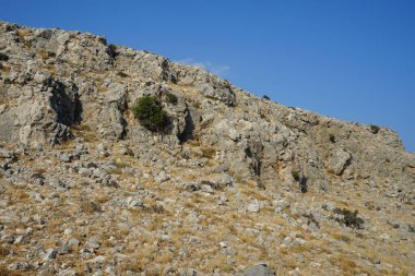 Ağustos 'ta, Güney Ege Bölgesi, Rodos Adası yakınlarındaki Lardos köyünde yaz bitkileriyle güzel bir manzara 