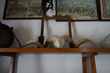 Lardos, South Aegean region, Greece - August 29, 2022: Skull and horns of wild goats in the Folklore Museum of Lardos on the island of Rhodes. The wild goat or common ibex, Capra aegagrus, is a wild goat species. clipart