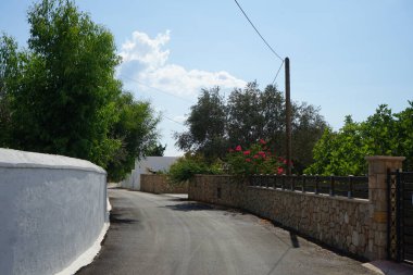 Bougainvillea çiçekleri ağustosta Pefkos veya Pefki sokaklarında bahçelerde açar. Bougainvillea, Nyctaginaceae familyasına ait dikenli asmalar, çalılar ve ağaçların oluşturduğu bir cinstir. Rodos Adası, Yunanistan