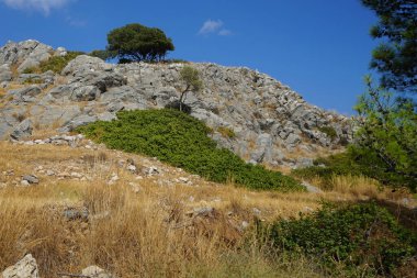 Ağustosta Pefki civarındaki yaz bitkileriyle güzel bir tepe manzarası. Pefkos ya da Pefki, Yunanistan 'ın Rodos Adası' nın doğu kıyısında bulunan ünlü bir sahil beldesidir.