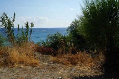 Ağustos ayında Akdeniz 'de Pefki açıklarında motorlu tekneler denize açılır. Pefkos ya da Pefki, Yunanistan 'ın Rodos Adası' nın doğu kıyısında bulunan ünlü bir sahil beldesidir.