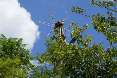 Ağustosta Pefki 'de bir rüzgar gülü bahçeye yerleştirilir. Rüzgar gülü, rüzgar gülü veya rüzgar gülü rüzgarın yönünü gösteren bir alettir. Pefkos veya Pefki, Rodos Adası, Yunanistan