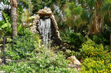 Lantana Camara ağustosta yapay bir şelalenin yanında çiçek açar. Lantana camara (İspanyolca: 
