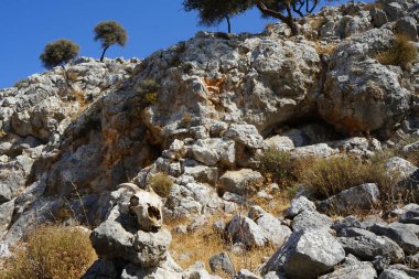 Vahşi bir keçinin kafatası Pefkos veya Pefki civarındaki bir tepede bir taşın üzerinde yatar. Vahşi keçi ya da dağ keçisi, Capra aegagrus, vahşi bir keçi türüdür. Rodos Adası, Yunanistan