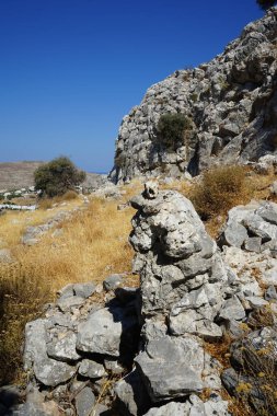 Vahşi bir keçinin kafatası Pefkos veya Pefki civarındaki bir tepede bir taşın üzerinde yatar. Vahşi keçi ya da dağ keçisi, Capra aegagrus, vahşi bir keçi türüdür. Rodos Adası, Yunanistan