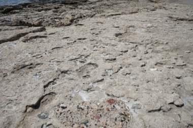Pefki 'deki Akdeniz kıyısında bir sahil. Pefkos ya da Pefki, Yunanistan 'ın Rodos Adası' nın doğu kıyısında bulunan ünlü bir sahil beldesidir.  