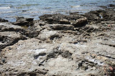 Pefki 'deki Akdeniz kıyısında bir sahil. Pefkos ya da Pefki, Yunanistan 'ın Rodos Adası' nın doğu kıyısında bulunan ünlü bir sahil beldesidir.  