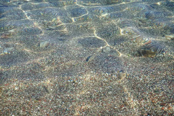 Torquigener flavimaculosus, Akdeniz 'de, Pefki' deki Rodos Adası kıyısında yüzer. Torquigener flavimaculosus Tetraodontidae familyasından bir kirpi balığıdır. Pefkos veya Pefki, Rodos Adası, Yunanistan