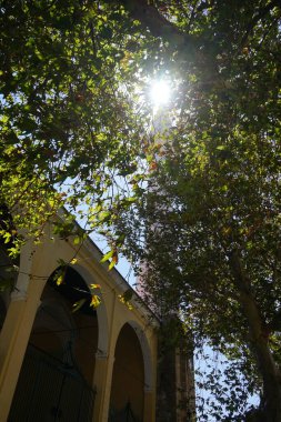 The sun shines through the branches of a tree over Ibrahim Pasha Mosque in the medieval town of Rhodes. Ibrahim Pasha Mosque is an Ottoman-era mosque on the Aegean island of Rhodes, Greece. clipart