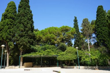 Güneş tepe örtüsü, Rodini Parkı 'nda yer almaktadır. Rodini Parkı gezegendeki en eski parklardan biri olarak kabul edilir. Rodos Adası, Yunanistan