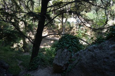 Rodini Parkı 'nın eşsiz manzarası. Ağustos' ta bitkilerin bolluğu. Rodini Parkı gezegendeki en eski parklardan biri olarak kabul edilir. Rodos Adası, Yunanistan