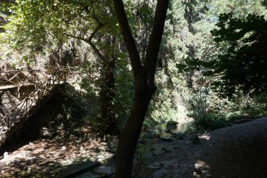 Resimli Rodini Parkı 'ndaki gölet. M.Ö. 411 'de Rodini Parkı' ndan bahsedilir ve dünyanın en eski parkı olarak kabul edilir. Rodos Şehri, Rodos Adası, Yunanistan 