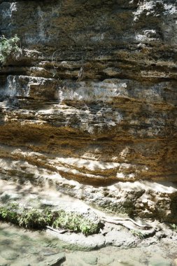 Resimli Rodini Parkı 'ndaki gölet. M.Ö. 411 'de Rodini Parkı' ndan bahsedilir ve dünyanın en eski parkı olarak kabul edilir. Rodos Şehri, Rodos Adası, Yunanistan 