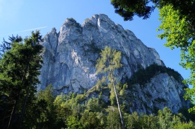 Eylül ayında Drachenwand civarındaki sonbahar bitkileriyle güzel bir dağ manzarası. Drachenwand, Kuzey kireçtaşı Alpleri 'nde yer alan bir dağ grubu olan Salzkammergut Dağları' nda deniz seviyesinden 1176 metre yükseklikte bir kaya yüzeyi. Avusturya 