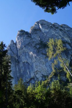 Eylül ayında Drachenwand civarındaki sonbahar bitkileriyle güzel bir dağ manzarası. Drachenwand, Kuzey kireçtaşı Alpleri 'nde yer alan bir dağ grubu olan Salzkammergut Dağları' nda deniz seviyesinden 1176 metre yükseklikte bir kaya yüzeyi. Avusturya 