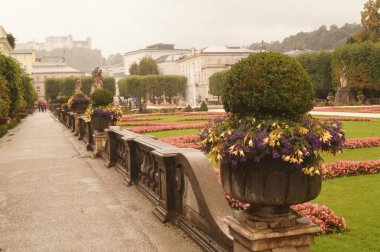 Eylül ayında çiçek tarhlı Mirabell Gardens manzarası, fıskiye ve arka planda Hohensalzburg Kalesi. Mirabell Bahçeleri, Avusturya 'nın Salzburg kentindeki Mirabell Sarayı' nın bahçesidir.. 