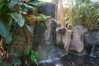 Şelaleli güzel bir gölet, Kasım ayında manzaralı bir park olan Oasis Vahşi Yaşam Fuerteventura 'yı bitkilerle süsler. La Lajita, Las Palmas, İspanya