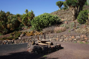 Fuerteventura adasındaki geleneksel tarihi su çarkı sulama sistemi. Su çarkı, akan ya da düşen suyun enerjisini çoğunlukla su değirmenlerinde faydalı enerji formlarına dönüştüren bir makinedir. La Lajita, Las Palmas, İspanya