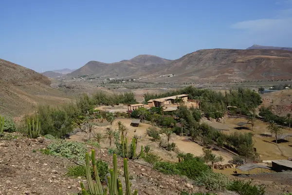 stock image Beautiful mountain landscape with vegetation in November in the vicinity of Oasis Wildlife Fuerteventura. La Lajita, Las Palmas, Spain.