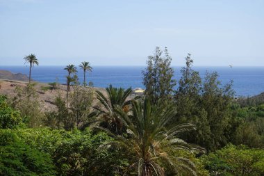 Kasım ayında güzel bir bitki örtüsüyle botanik bahçesinden Atlantik Okyanusu manzarası. Vaha Vahşi Yaşam Fuerteventura, Las Palmas, İspanya.