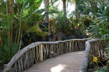 Botanik bahçesindeki ahşap köprü manzarası ve Kasım ayındaki güzel bitki örtüsü. Vaha Vahşi Yaşam Fuerteventura, Las Palmas, İspanya.