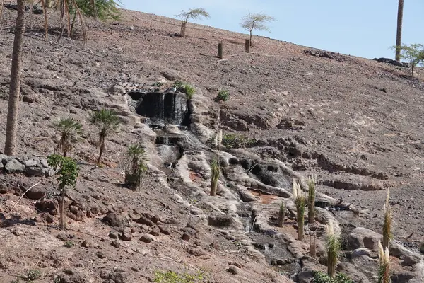 Kasım ayında Oasis Vahşi Yaşam Fuerteventura 'da güzel yapay şelaleler güvercinleri ve diğer kuşları çeker. La Lajita, Las Palmas, İspanya.