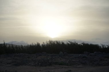 Ekim 'de Costa Calma' nın çevresine gün batımı ve pitoresk bitki örtüsü. Fuerteventura, Las Palmas, İspanya. 